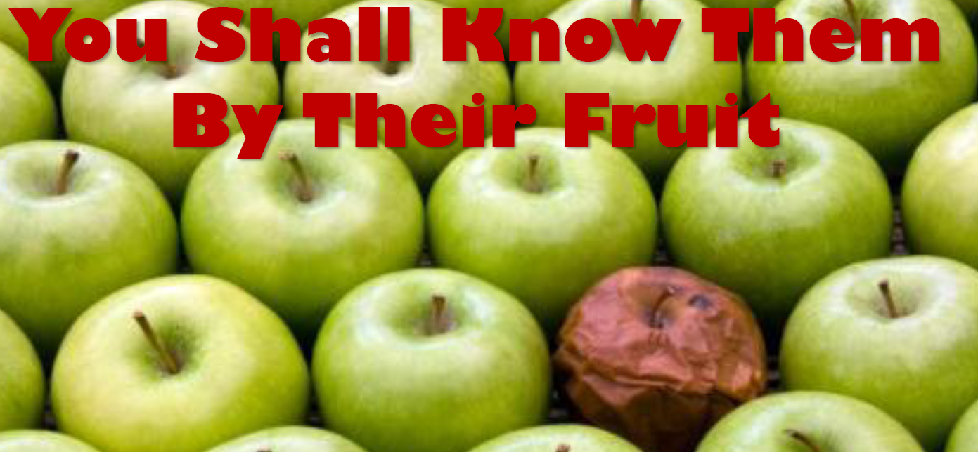 Image result for BY YOUR FRUITS
