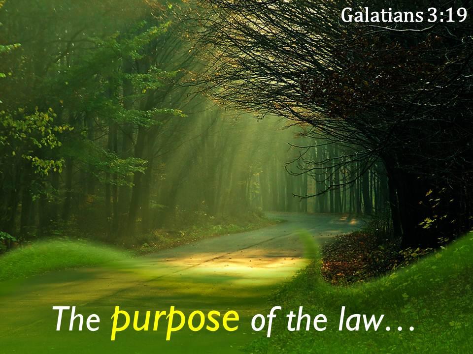 What is the Purpose of the Law